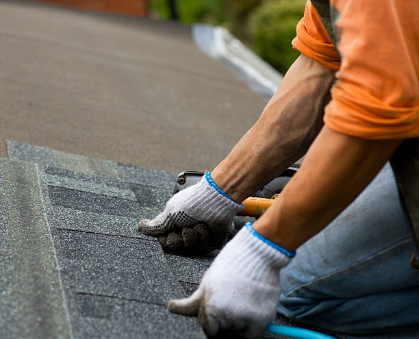Roof Gutter Cleaning in Glenwood City, WI